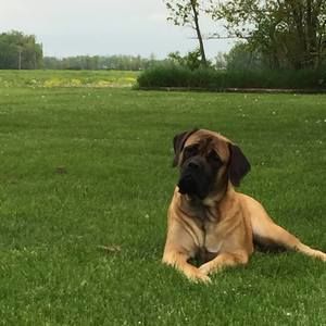 Meet your Posher, Teresa